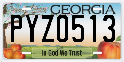GA license plate PYZ0513