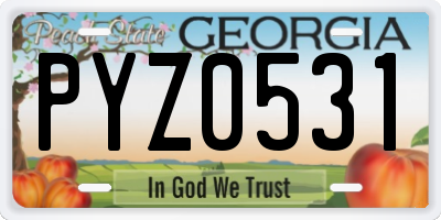 GA license plate PYZ0531