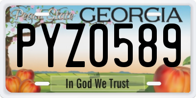 GA license plate PYZ0589