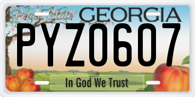 GA license plate PYZ0607