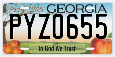 GA license plate PYZ0655