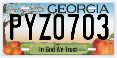 GA license plate PYZ0703