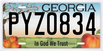 GA license plate PYZ0834