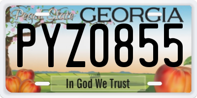 GA license plate PYZ0855