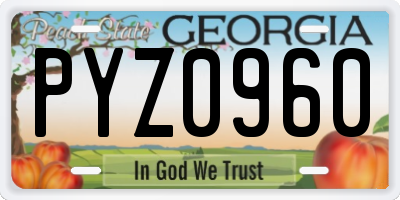GA license plate PYZ0960
