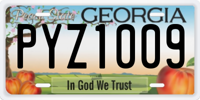 GA license plate PYZ1009