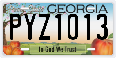 GA license plate PYZ1013