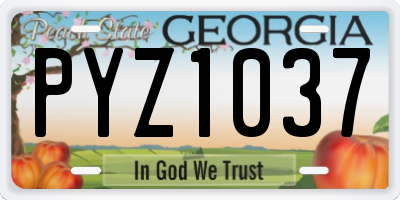 GA license plate PYZ1037