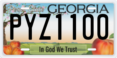 GA license plate PYZ1100