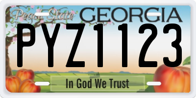 GA license plate PYZ1123