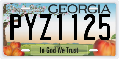 GA license plate PYZ1125