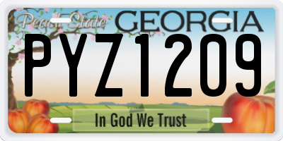 GA license plate PYZ1209