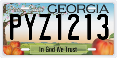 GA license plate PYZ1213