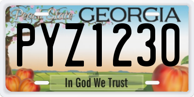 GA license plate PYZ1230