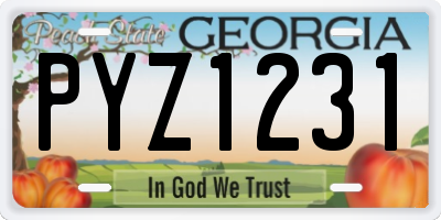 GA license plate PYZ1231