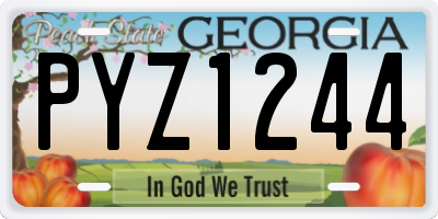 GA license plate PYZ1244