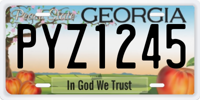 GA license plate PYZ1245