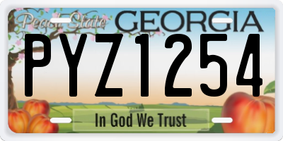 GA license plate PYZ1254