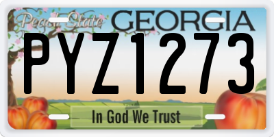 GA license plate PYZ1273