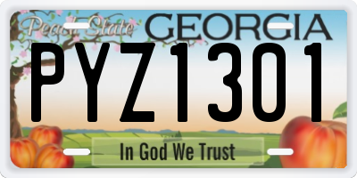 GA license plate PYZ1301