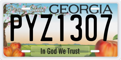 GA license plate PYZ1307