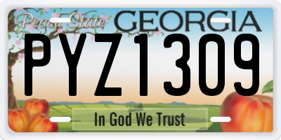 GA license plate PYZ1309