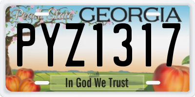 GA license plate PYZ1317