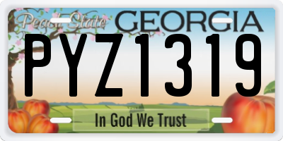GA license plate PYZ1319