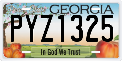 GA license plate PYZ1325