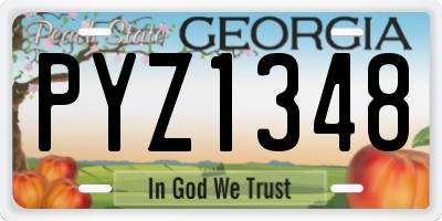 GA license plate PYZ1348