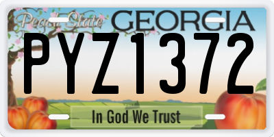 GA license plate PYZ1372