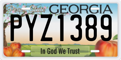 GA license plate PYZ1389