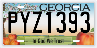 GA license plate PYZ1393