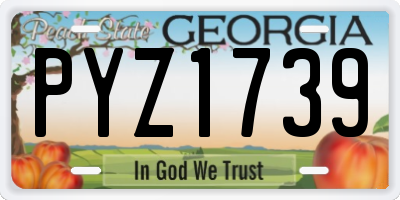 GA license plate PYZ1739