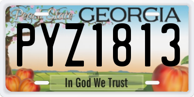 GA license plate PYZ1813