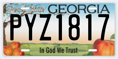 GA license plate PYZ1817