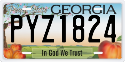 GA license plate PYZ1824