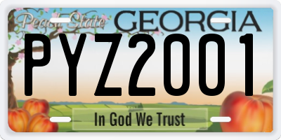 GA license plate PYZ2001