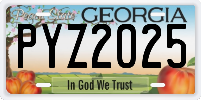 GA license plate PYZ2025