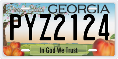 GA license plate PYZ2124