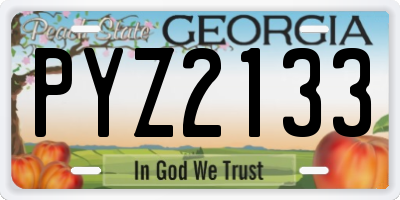 GA license plate PYZ2133