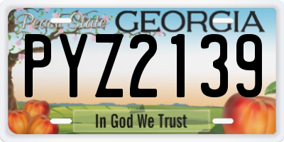 GA license plate PYZ2139