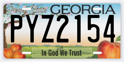 GA license plate PYZ2154