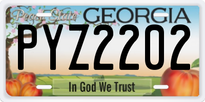 GA license plate PYZ2202