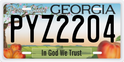 GA license plate PYZ2204