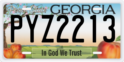 GA license plate PYZ2213