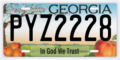 GA license plate PYZ2228