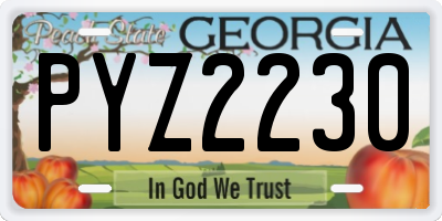 GA license plate PYZ2230