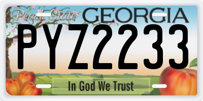 GA license plate PYZ2233