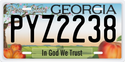 GA license plate PYZ2238